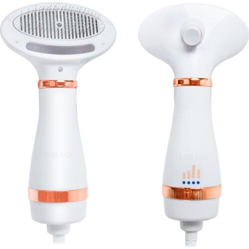 Pet Gromming Brush 2 in 1 Pet Drying Brush Pet Hair Dryer Comb Air Blower Cat Hot Air Brush Portable Electric Dog Dryer Comb