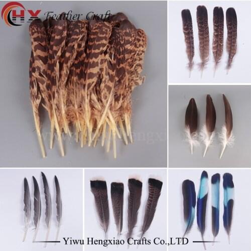 Wholesale high quality owl eagle feather various decorative diy Pheasant feathers collect