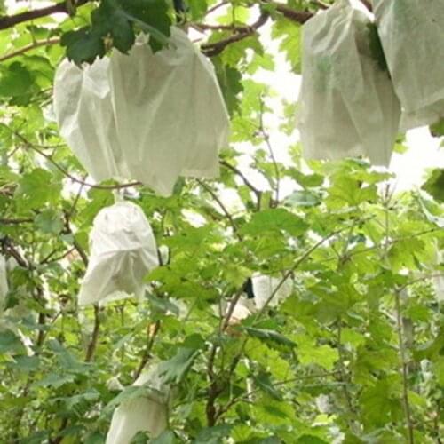 100Pcs Grape Protection Bags for Fruit Vegetable Grapes Mesh Bag Against Insect Pouch Waterproof Pest Control AntiBird