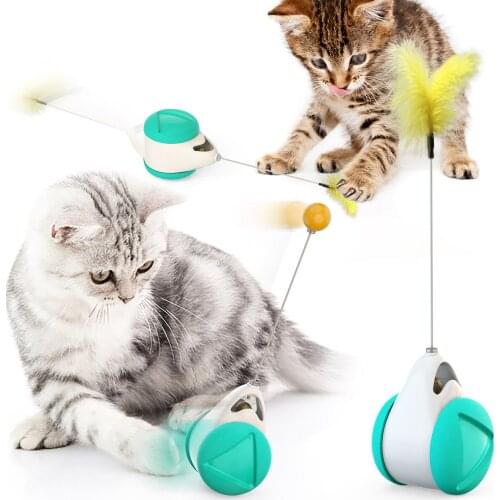 Tumbler Swing Toys for Cats Kitten Interactive Balance Car Cat Chasing Toy With Catnip Funny Pet Products for Dropshipping