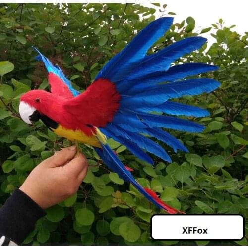 Cute simulation wings parrot model foam&furs real life red&blue parrot model gift about 30x50cm xf1034