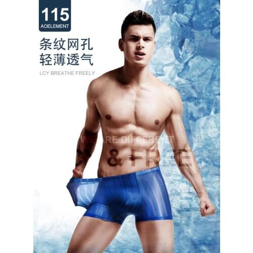 AOELEMENT Thin Section Sexy Transparent Boxer Shorts Ice Silk Breathable Mens Boxer Shorts Mid-waist Seamless Underwear