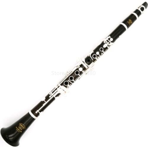 SADSN SCL-100S 17 Keys Bb Tune Clarinet Bakelite Body Silver Button B Flat Clarinet Beginner Musical Instrument with Case