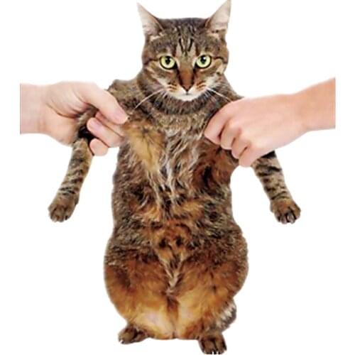 Patches Cute Cat Apparel Accessories Diy Womens Clothing T-shirt Thermal Transfer Paper Iron Ons Sticker for Clothes Patch