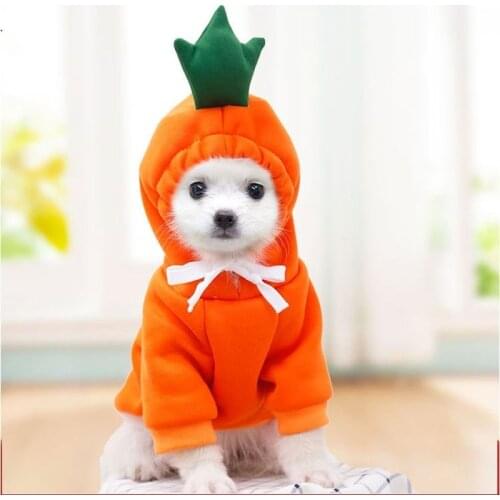 YooLook Fruit Dogs Clothes Solid Color Dogs Clothes for Small Medium Dog Winter Pets Clothes Sweater Lovely Ropa Para Perros