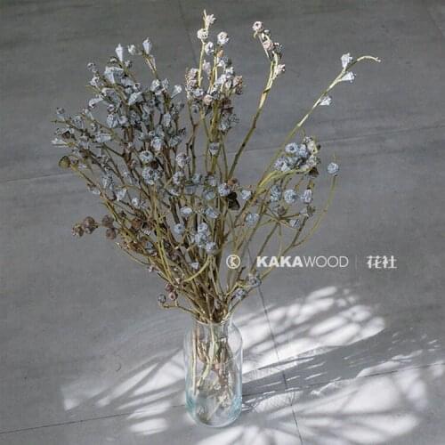 Kakawood Flower Club Northern European-Style Home Soft Decorations Pure Natural Plant Dried Fruit Dried Branch Dried Flower