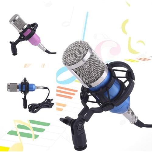 HINDOTECH HD Microphones