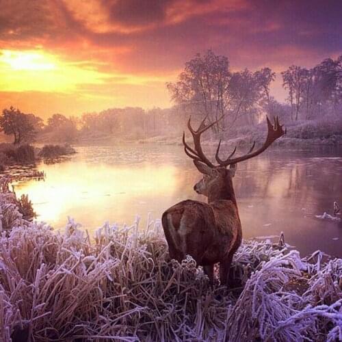 Newest 5D DIY Diamond Painting Wapiti Landscape Embroidery Full Diamond Painting Cross Stitch Sunset Rhinestone Mosaic Painting