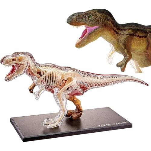 4D Tyrannosaurus Rex Intelligence Assembling Toy Animal Organ Anatomy Model Medical Teaching DIY Popular Science Appliances