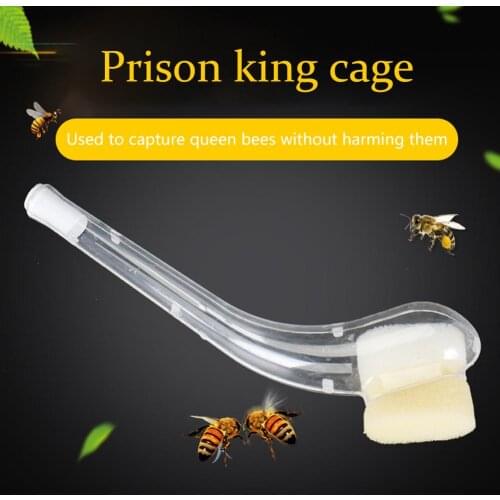 Plastic Pipe Beekeeper King Cage Bee Beekeeper Queen Catching Cage Effectively Capturing Bees Beekeeping Equipment Tool