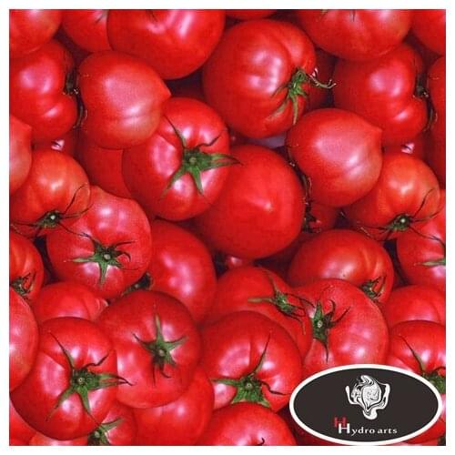 Newness Decoration! Tomato Hydrographic Film Water Transfer Printing Film Car decoration 50cm*10m aqva print HFD068
