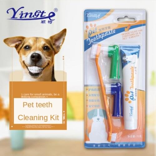 Pet toothbrush set cat and dog toothbrush toothpaste set dog supplies oral cleaning care pet supplies