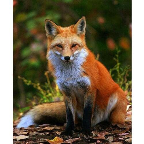 5d Diy Diamond Painting Fox Icon Round Diamond Rhinestones Cross Stitch Kit Diamond Embroidery Mosaic Animal Pattern Lk1