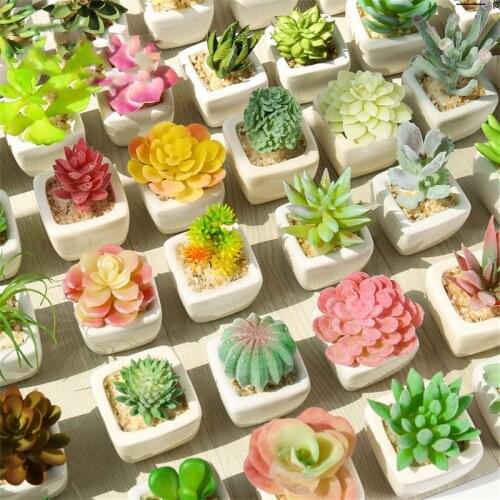 1Set Mini Potted Succulents Cactus Ceramics Bonsai Artificial Flower Fake Plants for Wedding Home Party Landscape Decorative