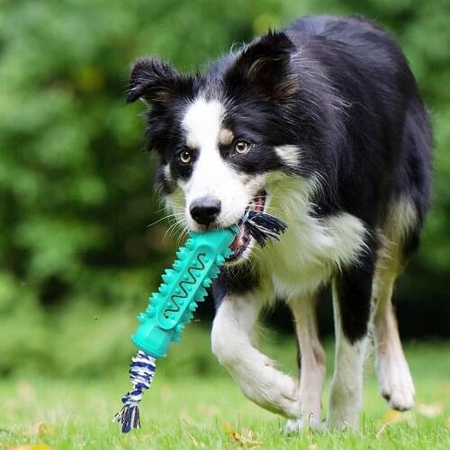 Dog Chew Toothbrush Toys Durable Rubber Molar Stick with Cotton Bite Rope Tooth Cleaning Puppy Dental Care Brushing Pet Supplies