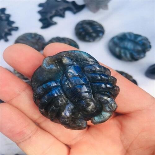 Natural crystal fashion Labrador Scorpions creative home decor 1pc