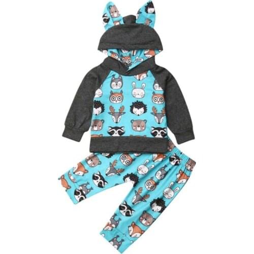 Toddler Boy Clothes 2019 Baby Boys Girl Tracksuit Hooded Shirt Top Pants Trousers Outfit Clothes 2PCS
