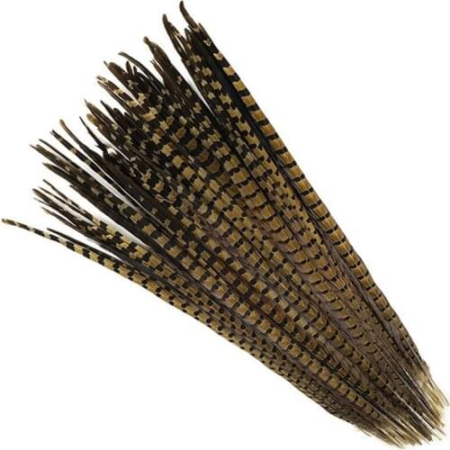 Wholesale 500 pcs beautiful natural Pheasant Feather 22-24 inches 55-60 cm free shipping