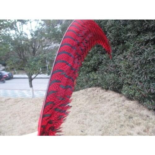 Wholesale 20 pcs rare red golden pheasant tail feather cover 32-36 inches / 80-90 cm show party decoration