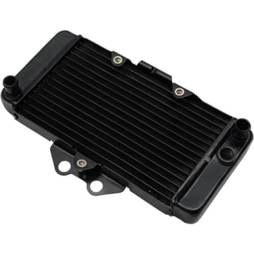 Motorcycle Radiator Cooler Cooling For Honda VTR250 1997-2007 98 99 00 01 02 03 04 05 06