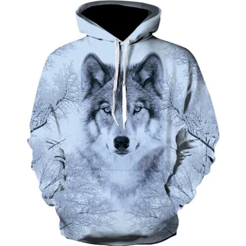 New Fashion Men 3D Sweatshirt Long Sleeve Loose Fit Summer and Winter Hoodie Streetwear Hooded Clothes Harajuku Hoody Plus Size