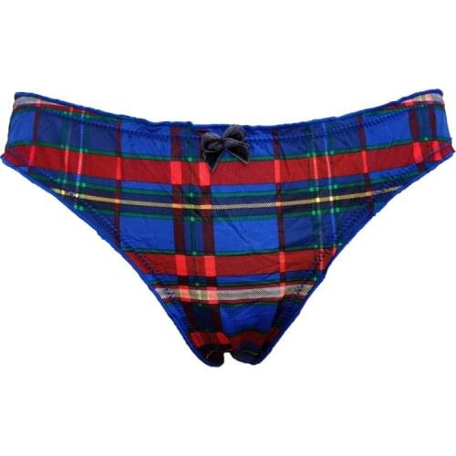 2pcs Blue Plaid Gauze Embroidery Low Waist Sexy One Piece Brief for Female Women Penties Underwear Lingerie Gift BR051