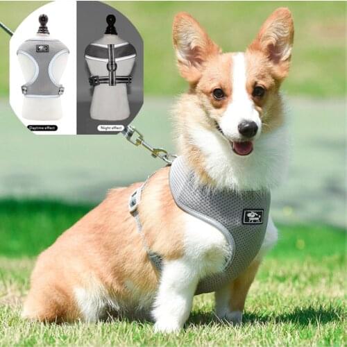 For Pug Bulldog Cat Breathable Mesh Small Dog Pet Harness Puppy Cat Vest Harness Collar Arnes Perro Bunny Dog Accessories Home