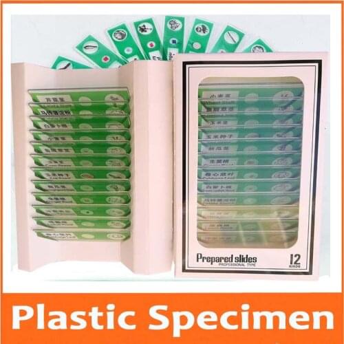 New 12pcs Insect Green Children Toy Kids Educational Plastic Prepared Biological Microscope Specimen Slides for Students