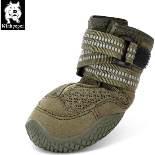 TRUELOVE Shoes For Dogs