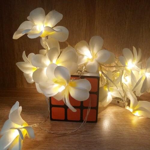 Creative DIY Frangipani LED String Lights, AA Battery Floral Holiday Lighting, Event Party Garland Decoration,Bedroom Decoration