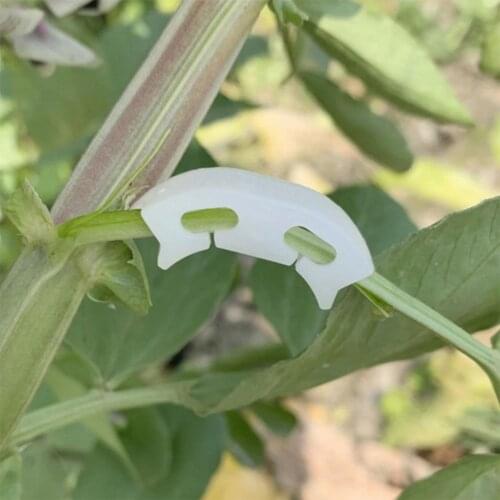 20/50/100pcs Tomato Grafting Fixing Clip Support Plant Stem Grow Upright Anti Bend Clip Garden Fruit Sapling Reinforcement Clamp