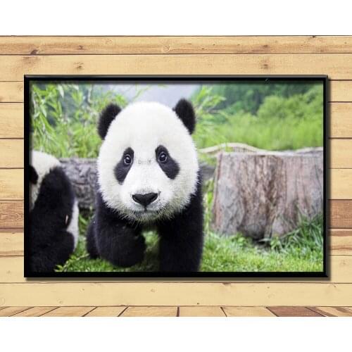 Giant Pandas Lovely And Valuable Animal (22) Wall Posters Prints Silk Art Painting For Home Wall Bedroom Decor