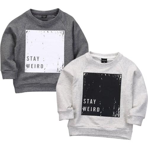 Spring Autumn Baby Boy Clothes Sweatershirts Warm Soft Cotton O-Neck Top Toddler Girl Infant Loose Sweatshirt Pullover 0-4T