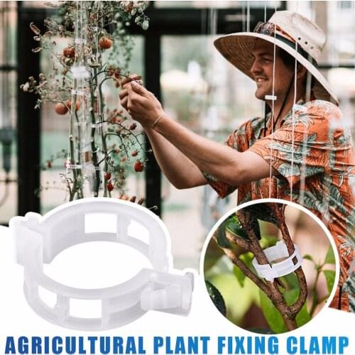 150pcs Plastic Plant Clips Supports Connects Reusable Protection Grafting Fixing Tool Gardening Supplies Vegetable Tomato #P2