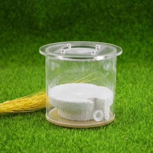 Acrylic Cylindrical Aerated Brick Ant Nest Three-Dimensional Nest Ant Breeding Farm 8x8cm