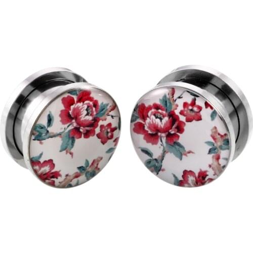 6-16mm 2Pcs Stainless Steel Ear Plugs and Tunnels Ear Piercings Screwed Earlets Earring Expander Stretcher Gauges for Body Jewel