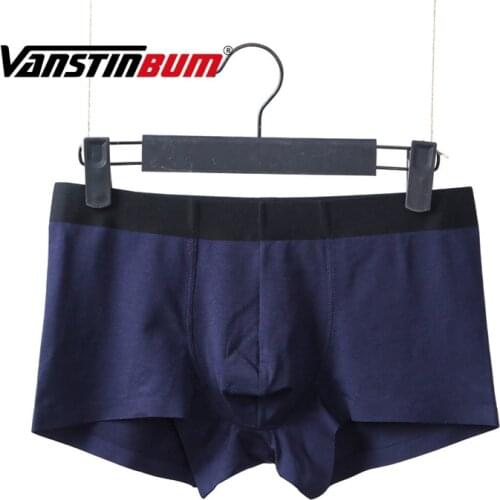 VANSTINBUM Boxer Shorts Sexy Ice Silk Bulge U Pouch Underwear Cueca Mens Skin-friendly Cotton Healthy Breathable Underpants 3XL