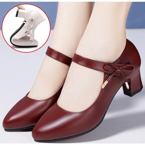 Plus Size Women Dress Shoes Square Heels Mary Janes Shoes Pointed Toe Pumps Buckle Strap Grandma Shoes Office Shoes Free Ship