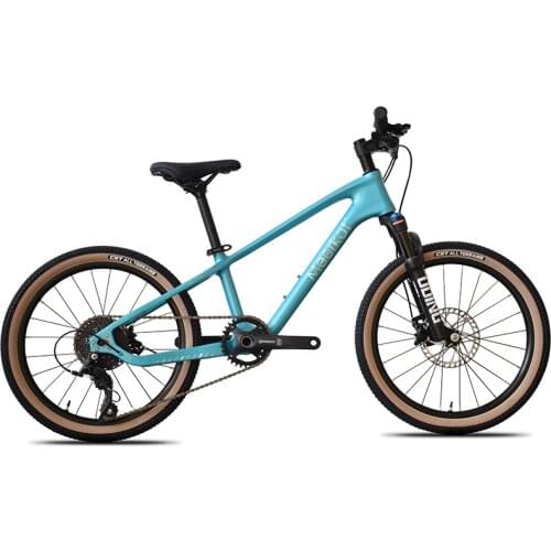 For Children Cycling Kids Bike MTB 20 inch & 24 inch Shimano 9&11 Speeds driving system CST tire