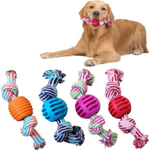 Dog Bite Rope Toys Pet Chew Toys Interactive Funny Durable Braided Bone Molar Teething With Bitten Tolerance Puppy Supplies 2021