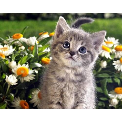 TotalView Pictures Of Cats By Numbers