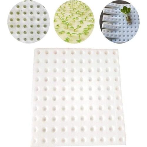 Nursery Sponge 100 pcs Per Lot for Hydroponics Grow System Planting Vegetables Fruits Soilless Cultivation