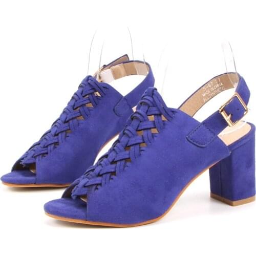 N-Y All Melody New Arrival Design Luxury Women‘s Sandals Spring Summer Casual Sexy Blue Flock Back Strap 8cm High Square Heel