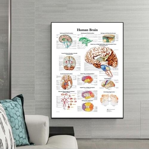 Human Anatomical Larynx Head Chart Poster Canvas Painting Wall Pictures ForMedical Education Doctors Office Classroom Home Decor