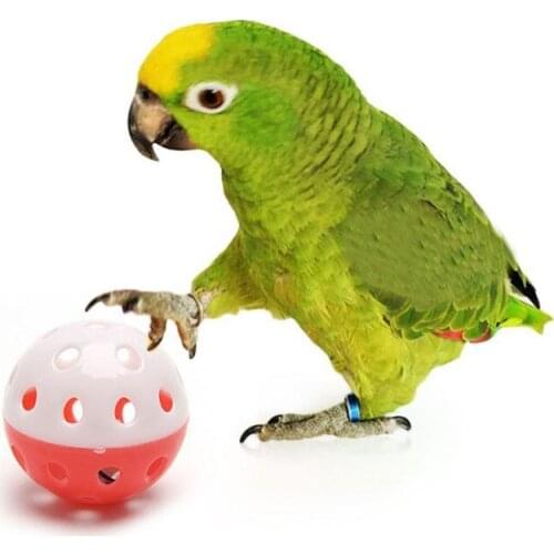 Pet Parrot Toy Bird Hollow Bell Ball For Parakeet Cockatiel Chew Sound Toys Fun Bird Cage Toys Supplies Random Color