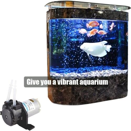 12V Peristaltic DIY Aquarium Chemical Dosing Pump Tube Head Aquarium accessories aeration pump dropshipping