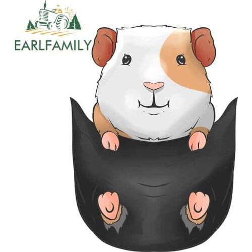 EARLFAMILY 13cm x 9.8cm for Guinea Pig Cute Car Sticker Refrigerator Creative Waterproof Decal Windshield Waterproof Decoration