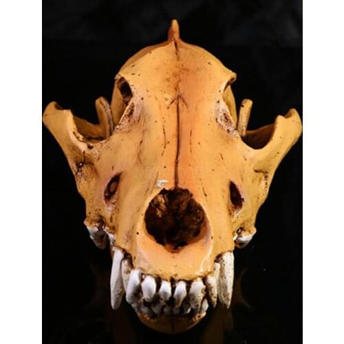 Wolf Skull Resin Replica Head Model State Ornament Home Bar Decor 11x22x12cm