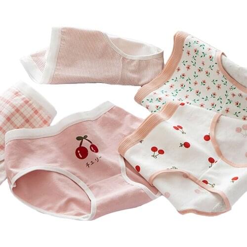 New 5 Pcs/Lot Womens Panties Cotton Underwear Briefs Girls Sexy Lingerie Print Fruits Underpants Cute Shorts Panties For Women