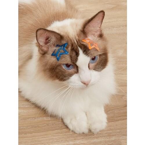 Hair Clips Animal Printed Pattern Hairpins Non-slip Hair Barrettes Hair Accessories For Dogs or Women